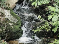 -沣峪口
