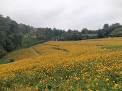 -保利石象湖景区