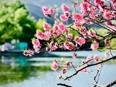 -国家植物园