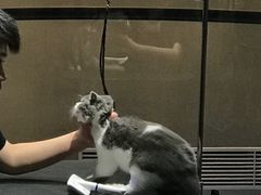 -MOLLY'S萌宠生活馆