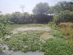 -韩湘水博园