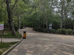 -塘沽森林公园