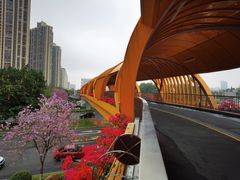 -史努比缤纷世界