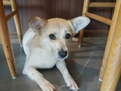 -卢小厨私房菜(长兴店)