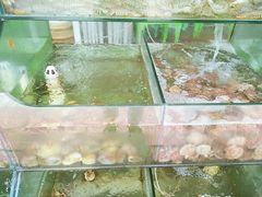 -四海鲜渔家菜(黄金海岸店)