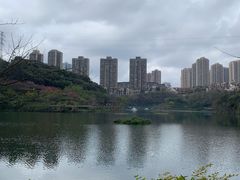 -重庆彩云湖湿地公园