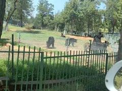 -秦皇岛野生动物园