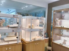 -翊宠yipet猫狗购宠庄园犬舍•猫舍