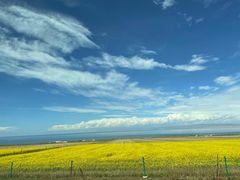 -青海湖国家重点风景名胜区