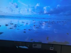 -雲汇影院式足浴(21世纪北环店)