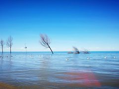 -青海湖国家重点风景名胜区