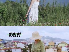 -枸杞岛