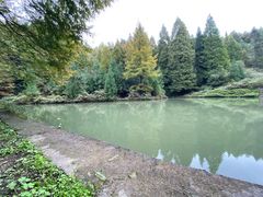 -山王坪喀斯特国家生态公园