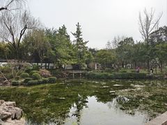 -秋霞圃