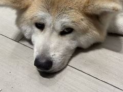 -YCHL Studios健身工作室(市二宫店)