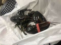 -盒马鲜生(悦峰店)