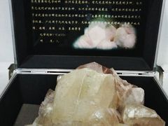 -中国第四纪冰川遗迹陈列馆