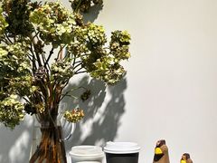 -边渡咖啡烘焙店(昙华林店)