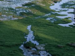 -集美鳌园景区