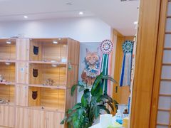 -猫十亿·布偶金渐层·曼基康矮脚猫舍(青年路店)