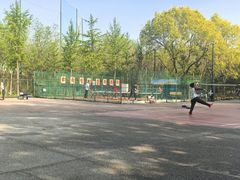 -东升文体公园