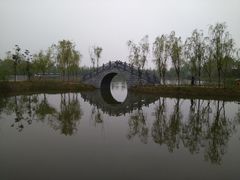 -泗洪洪泽湖湿地景区