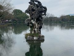 -西湖外事游船(花港观鱼码头)