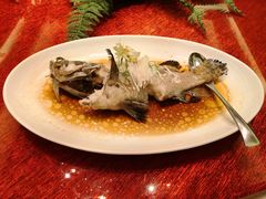清蒸老虎斑-广州逸林假日酒店·四季桃源中餐厅(白云山风景区店)