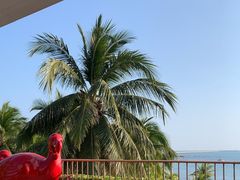 -日落吧·海景咖啡厅·餐酒吧·鸡尾酒·下午茶·乐队表演·浪漫夕阳·三亚文华东方酒店
