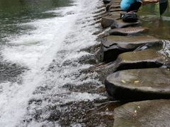 -鹿亭中村