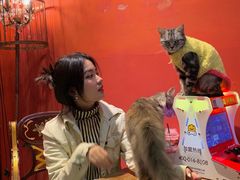 -猫色咖啡·猫咖