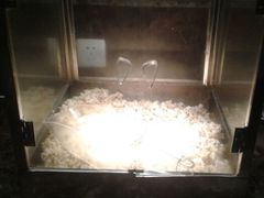 android_upload_pic-牧歌商务公馆(南门店)