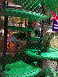 -恐龙探索乐园(磁器口店)