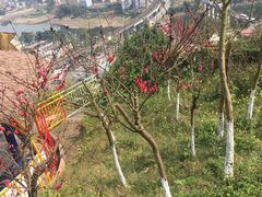 -美心红酒小镇游乐园