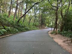 -中山市树木园