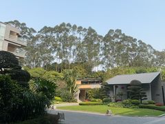 -南宁荔园维景国际酒店·荔园中餐厅