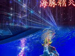 -海合安武汉极地海洋公园