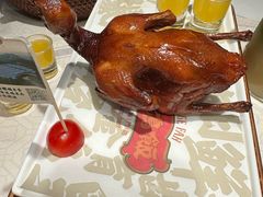 爆汁红烧鸽皇-大鸽饭(岗顶店)