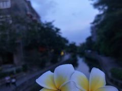 -黄埔古港