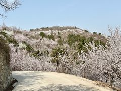 -北京西山国家森林公园