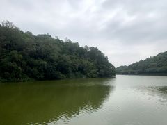 -李小龙乐园(顺德均安店)