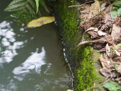-成都市活水公园