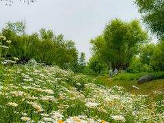 -汉长安城未央宫国家考古遗址公园