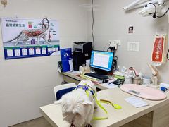 -爱侣·安琦尔宠物医院·中兽医针灸·心内科·狂犬免疫点(宝山区院)