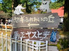 -神户市立六甲山牧场