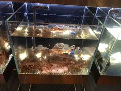 -璞御·海鲜·雪花牛肉局(宾水西道店)