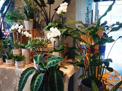 -dotcom coffee古点咖啡(致真大厦店)