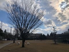 -金泽21世纪美术馆