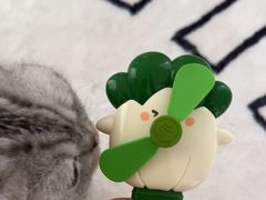 -海底捞火锅(吾悦国际广场店)
