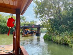 -溱湖国家湿地公园